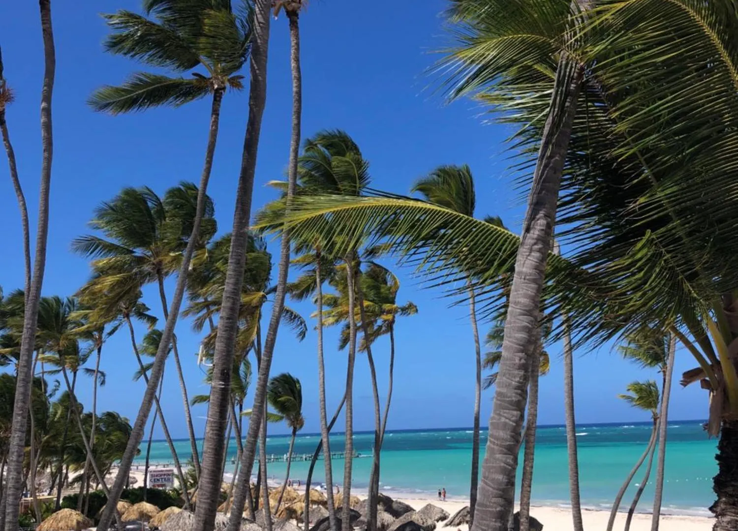 Apartment Los Corales Luxury Villas Beach Club And Spa Punta Cana