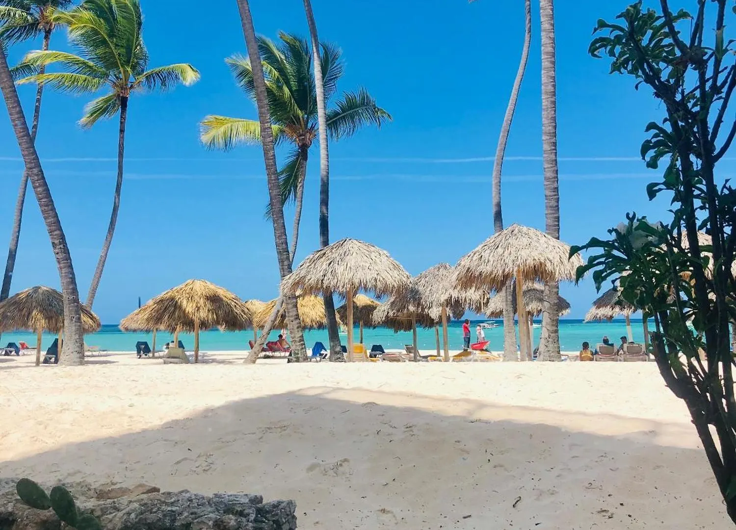 Apartment Los Corales Luxury Villas Beach Club And Spa Punta Cana Dominican Republic